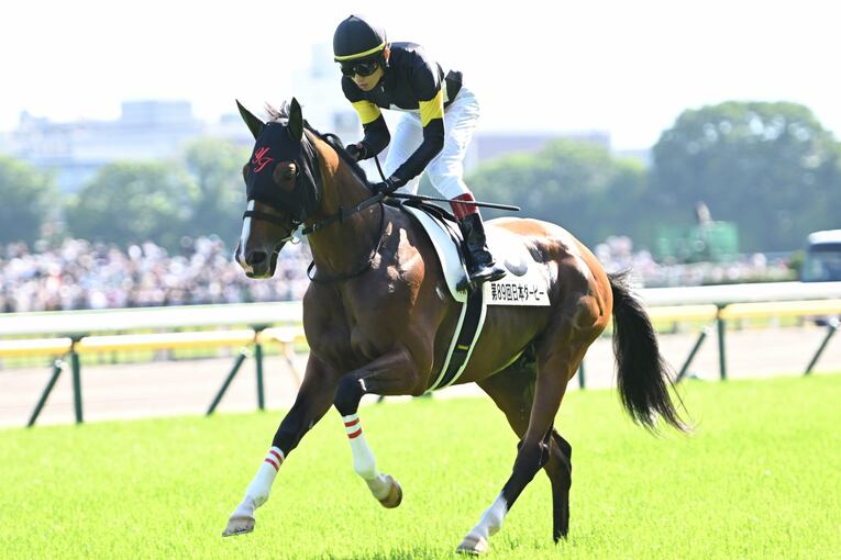 武豊「ディープインパクトはダートでも強かったと思う」ディープにダイワスカーレット、2頭の名馬が“走らなかった”幻のフェブラリーS計画(68)