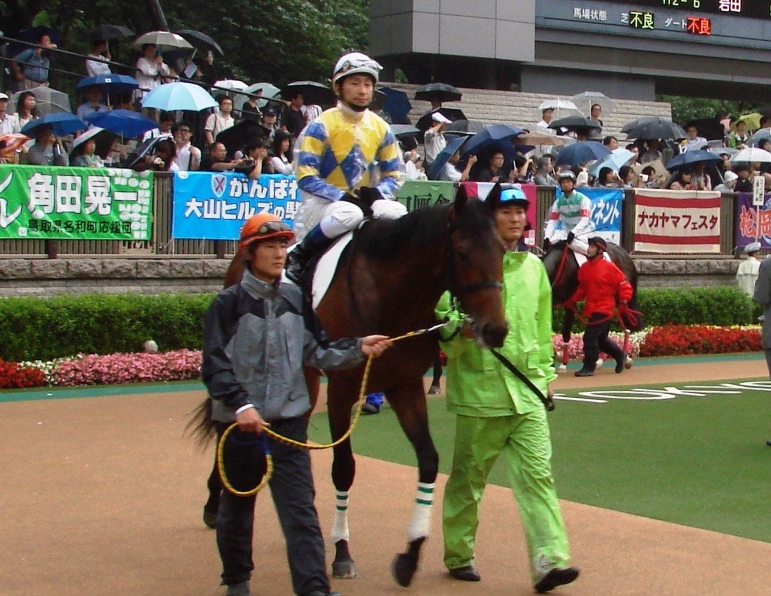 ダービー出走前のロジユニヴァース