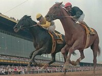 田原成貴「トウカイテイオーが一番強かった」「マヤノトップガン