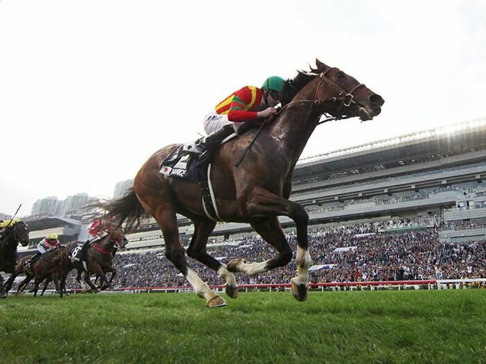 危ない瞬間が全くなかったモーリス。花道を香港カップで飾り、堂々引退。＜Number Web＞ photograph by REX FEATURES/AFLO