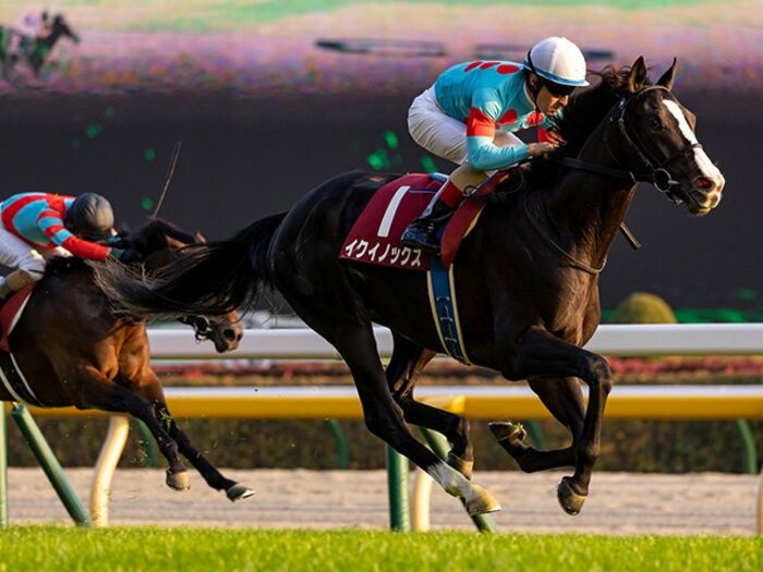 “無敗の皐月賞馬”は誕生するか…イクイノックスら“異例のローテーション”に心配はない？ 有力馬が“初めて激突”で混戦必至＜Number Web＞ photograph by Photostud