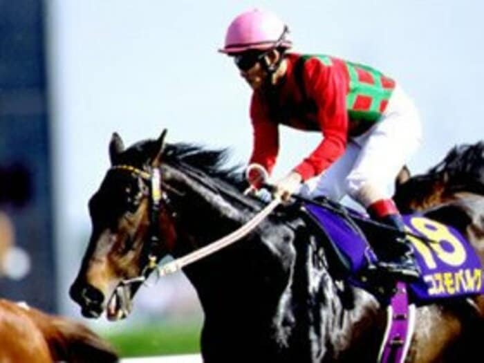 ダービーで雪辱を誓うバルクに新たな強敵。＜Number Web＞ photograph by Yoshihiro Fujioka