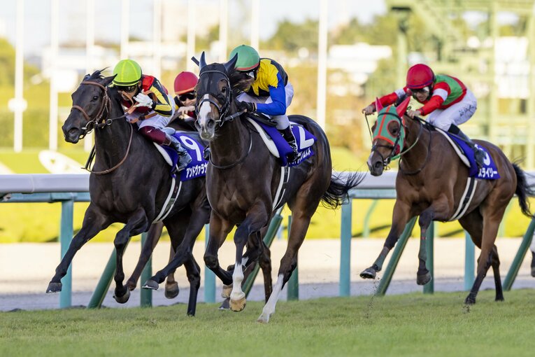 秋華賞を制した“超良血”アカイトリノムスメは、今回1番人気が予想される　©Photostud