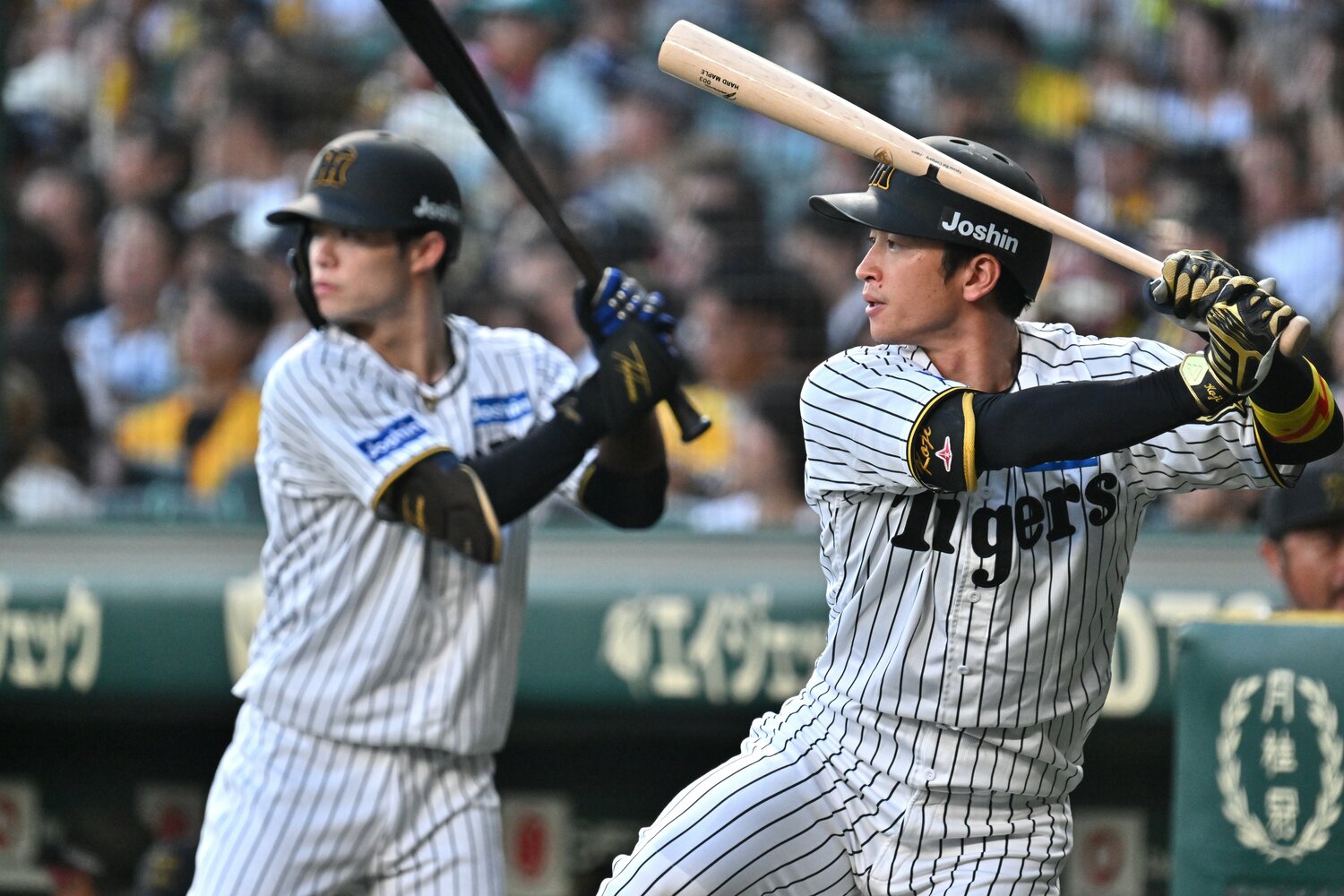 今年8月19日に国内FA権を取得した近本光司（右）　©︎Hideki Sugiyama