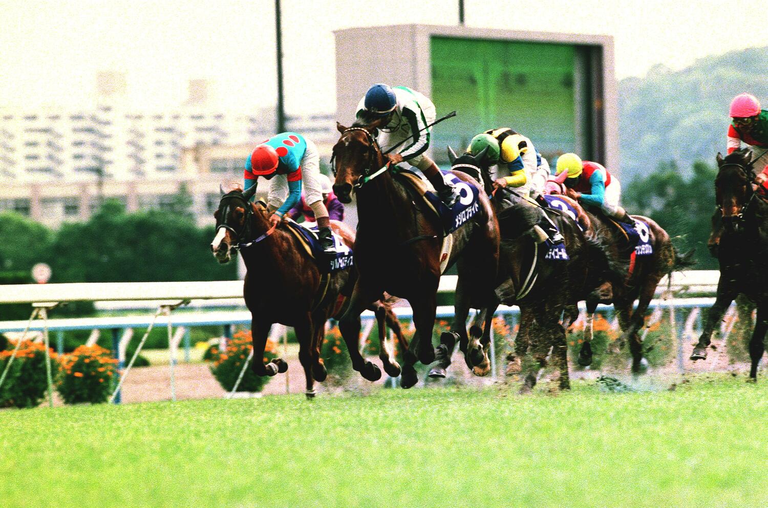 1998年の天皇賞・春。メジロブライトの2着に敗れたステイゴールドと熊沢重文　©JIJI PRESS