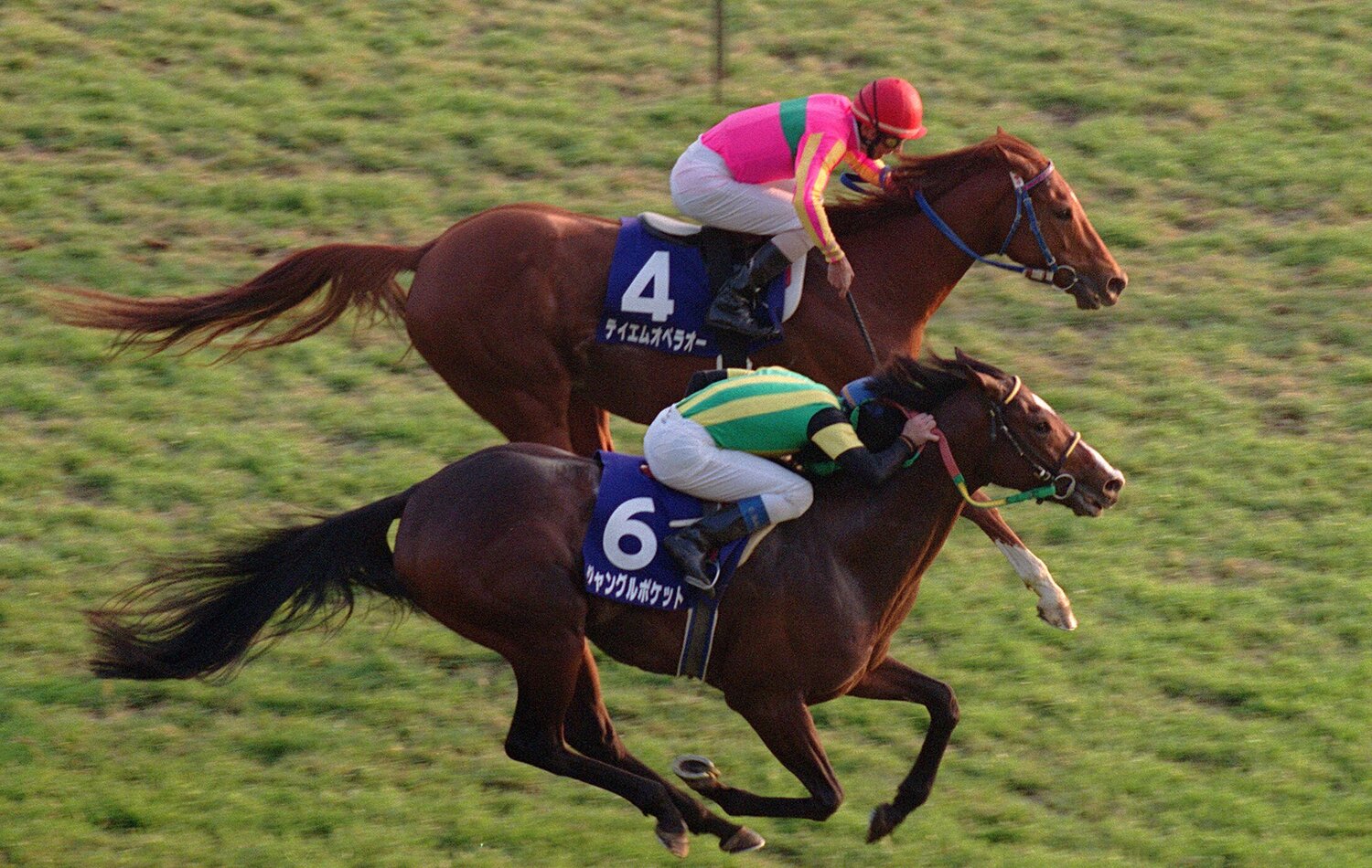 2001年のジャパンCでは、ゴール前の直線でテイエムオペラオー（奥）をかわし、3歳で頂点に立ったジャングルポケット　©JIJI PRESS