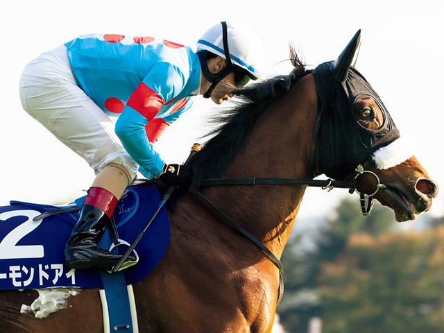 アーモンドアイ　優勝記念カード　9枚 有終V・9冠達成 九冠アーモンドアイ記念メダル 2020年12月