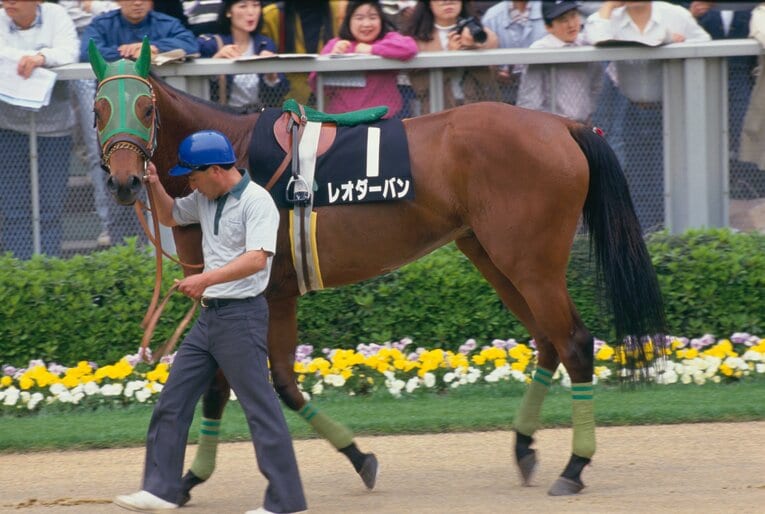 青葉賞やセントライト記念でツインターボと相まみえた同世代の菊花賞馬レオダーバン　©Tomohiko Hayashi　