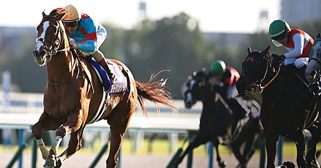 エアシャカール　菊花賞 第85回菊花賞］急流がもたらした明暗 - 競馬 - Number Web - ナンバー