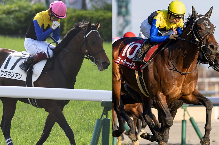 急逝したワグネリアンの“弔い合戦”…同じオーナー、同じ厩舎の“後輩馬”に後押し? ヨーホーレイク勝利、AJCCにはポタジェが出走<Number Web> photograph by Keiji Ishikawa/Photostud