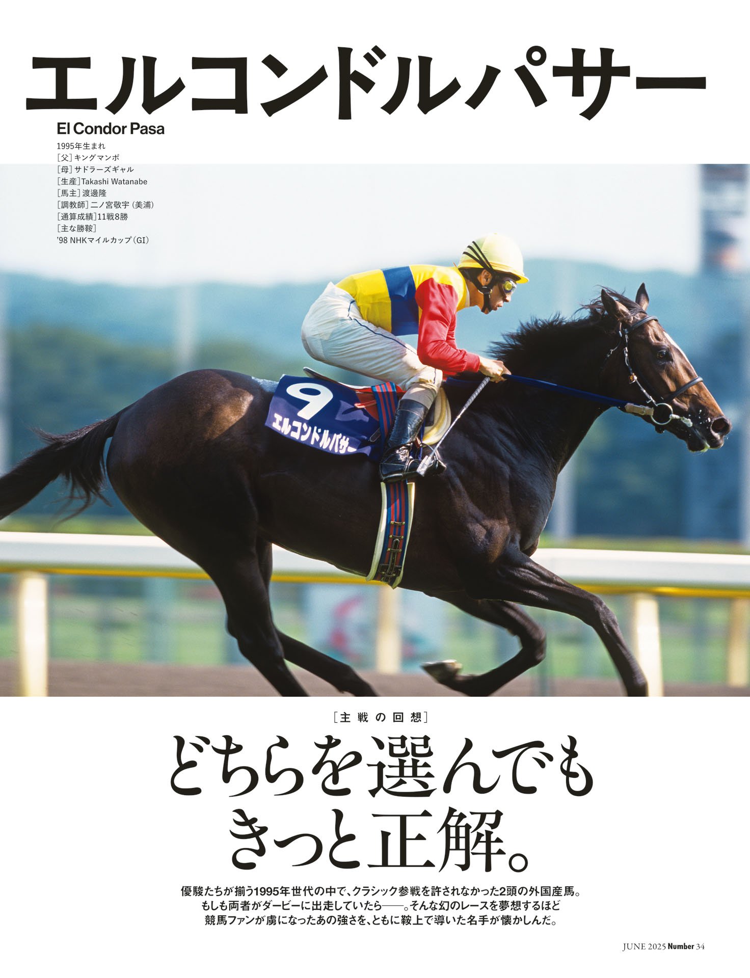 グラスワンダー／エルコンドルパサー「どちらを選んでもきっと正解」