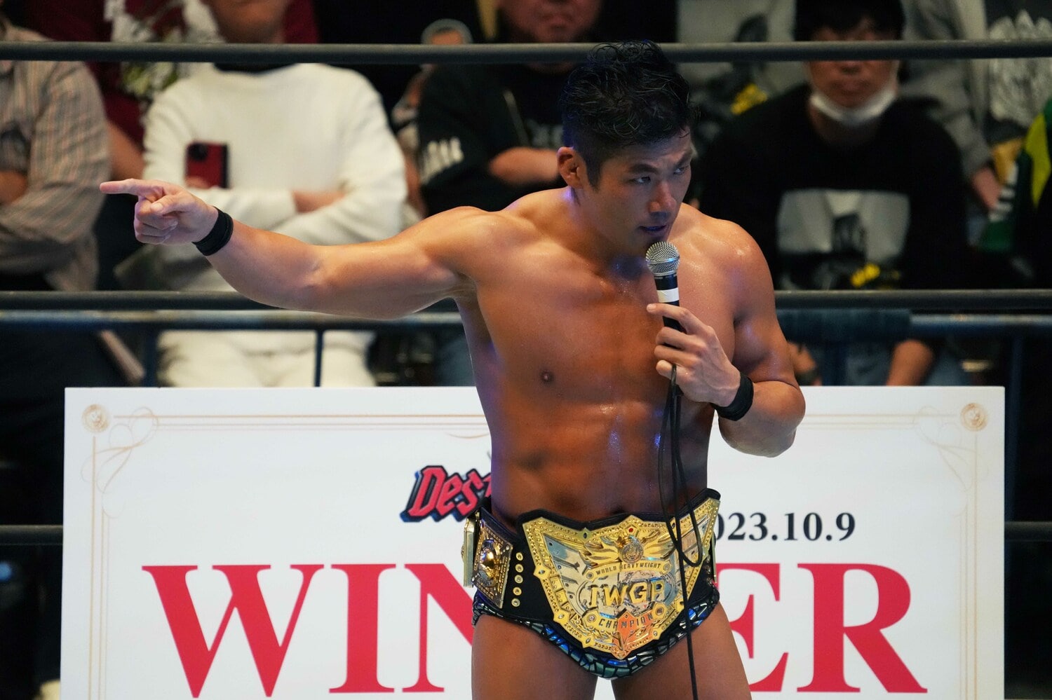 「新日本プロレスのありきたりを壊したい」と語るSANADA