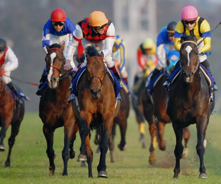 デットーリ騎乗のアルカセット（左）にハナ差で破れたジャパンC　©JIJI PRESS