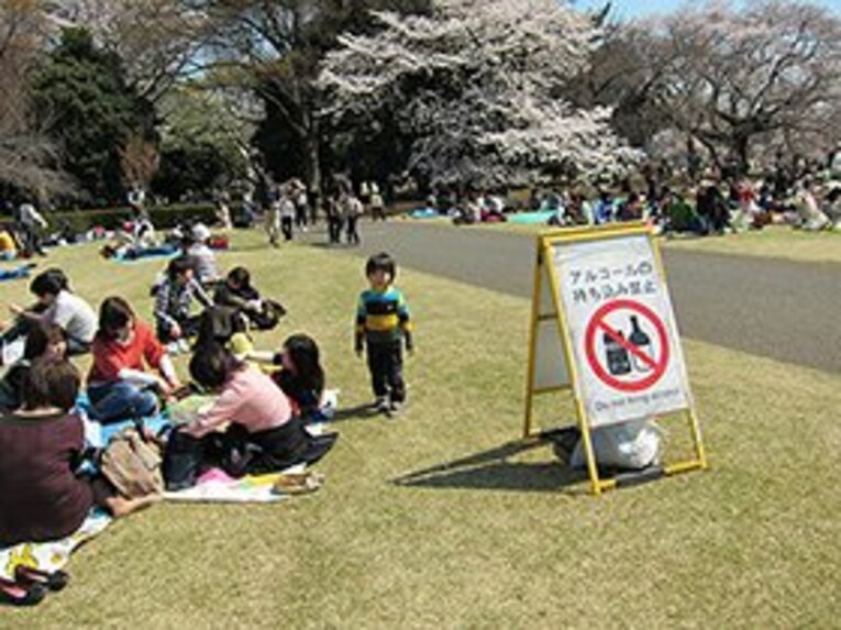 徹底的に園内から排除されていたお酒。そのせいか、幼い子供を連れたママさん達が多く見受けられた。