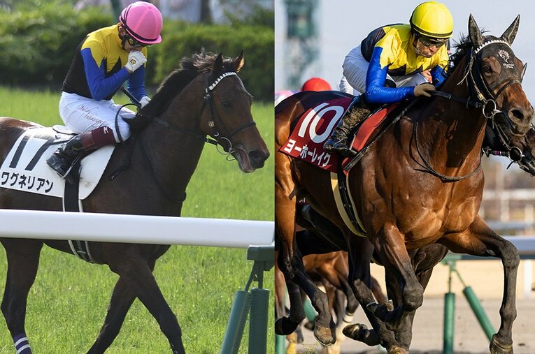 先日急逝したワグネリアン（左）と、同じ金子オーナー、友道厩舎で日経新春杯を制したヨーホーレイク ／ photograph by Keiji Ishikawa／Photostud