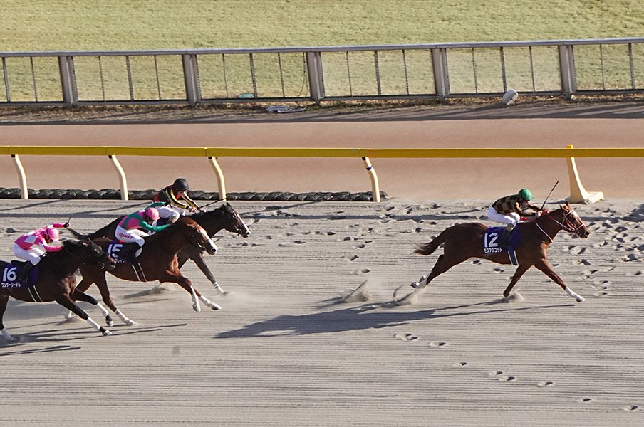 快挙と恩返しのフェブラリーS。モズアスコットと人気薄2着馬の秘話。<Number Web> photograph by Satoshi Hiramatsu