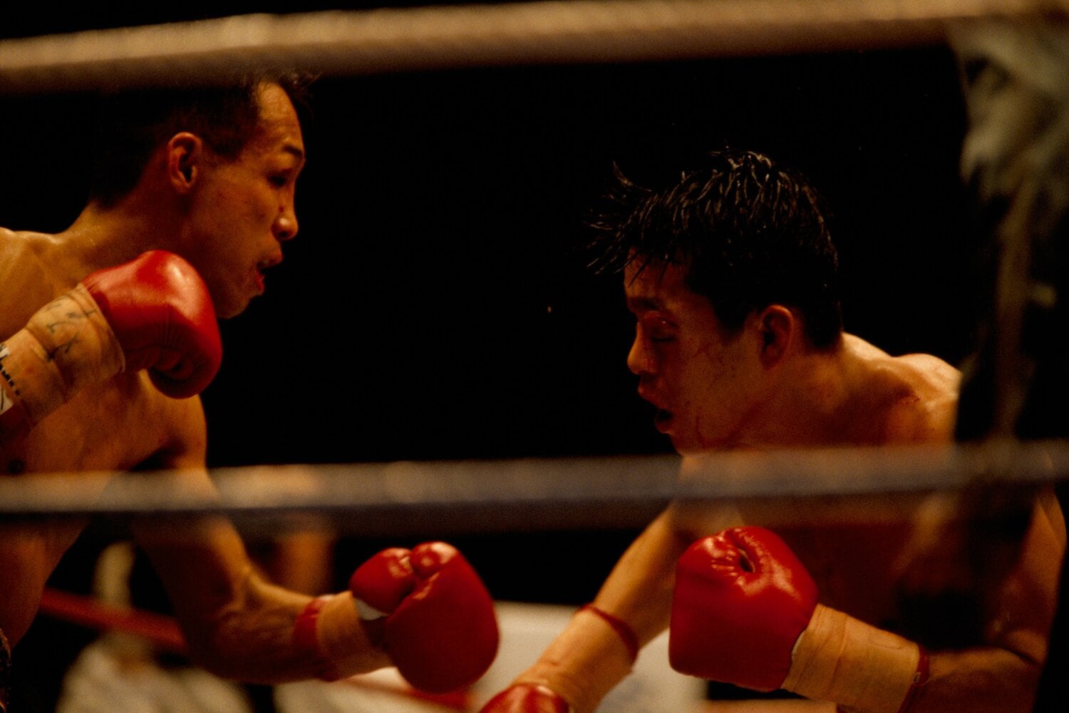 1994年12月、日本中の注目を集めた薬師寺保栄とのWBC世界バンタム級王座統一戦　©Naoya Sanuki