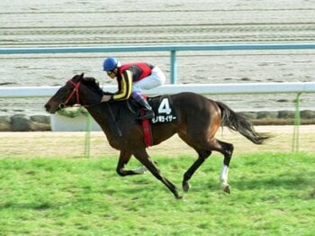 武豊が惚れ込んだ“消えた天才”…あの超良血馬はなぜ勝てなくなったのか？「エアグルーヴにそっくりな弟」が地方競馬で迎えた“悲しい結末”＜Number Web＞ photograph by Sankei Shimbun