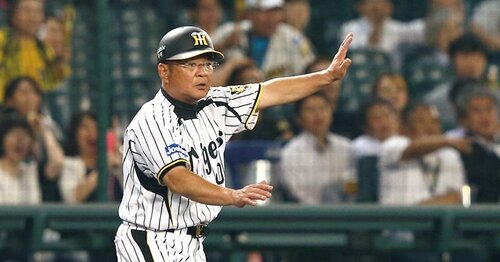 金本知憲を徹底解剖 - Number Web - ナンバー