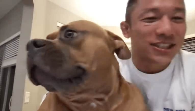 堀口恭司が誓う、衝撃KOからの復活劇「格闘技の面白さを伝えられた」「来年みんなぶっ飛ばしてチャンピオンになるんで」(21)