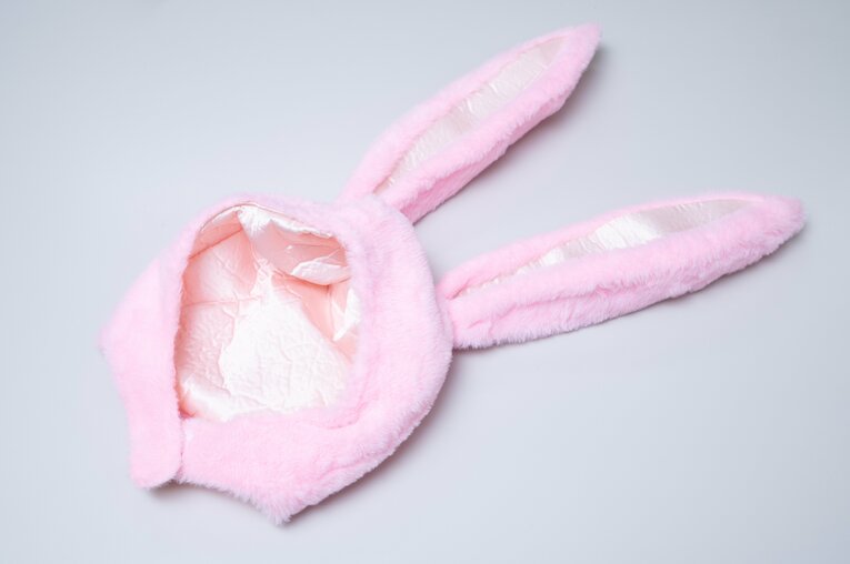 撮影現場で河野さんが着用していたウサ耳。被るタイプのものだ　©Tadashi Hosoda