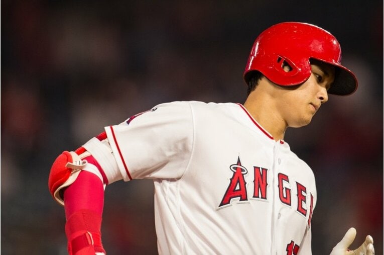 2018年©Nanae Suzuki