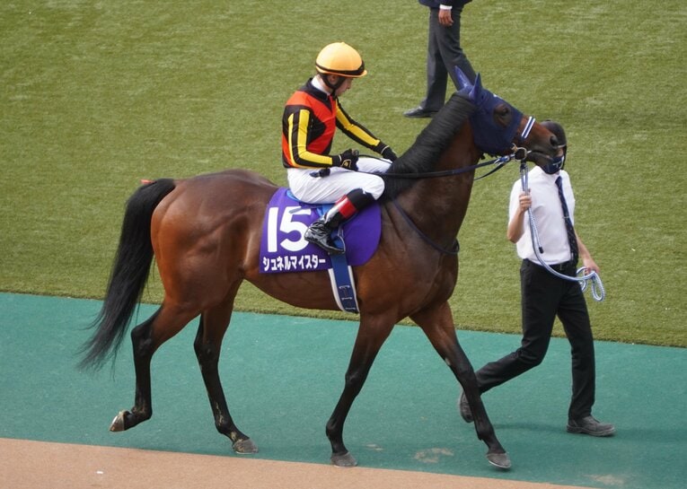 NHKマイルのパドックでのシュネルマイスター　©Satoshi Hiramatsu