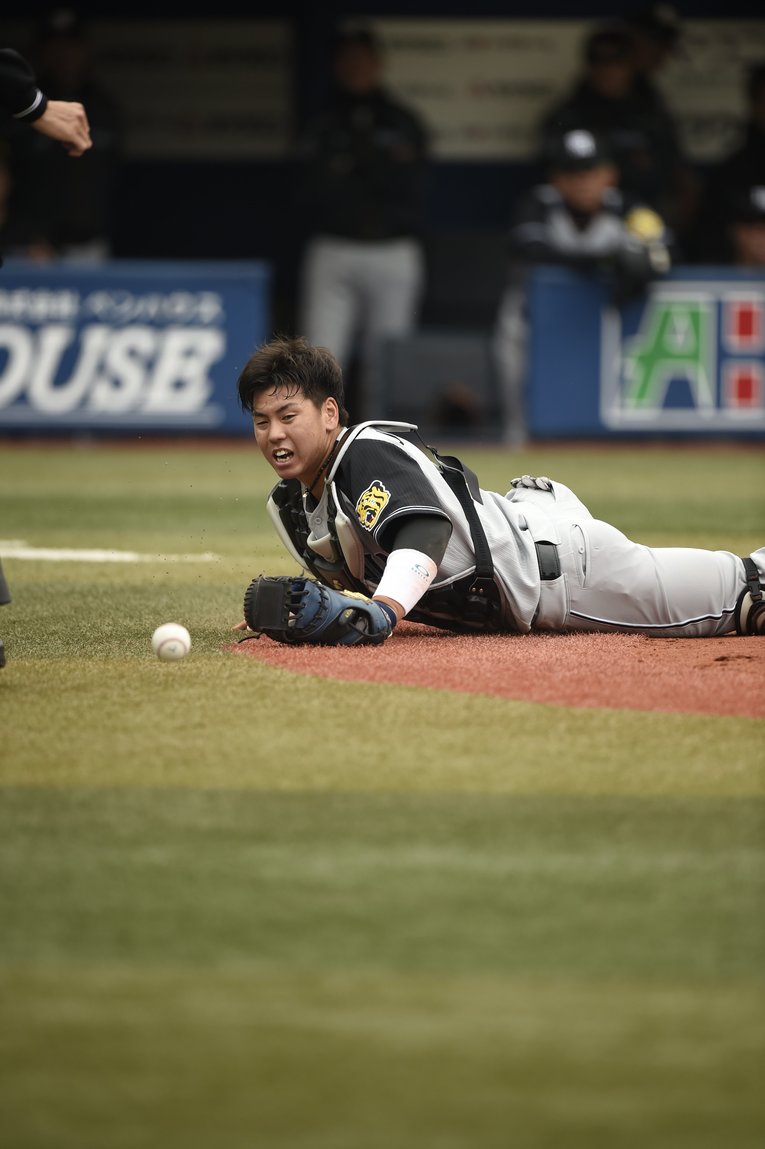 2016年　©Naoya Sanuki