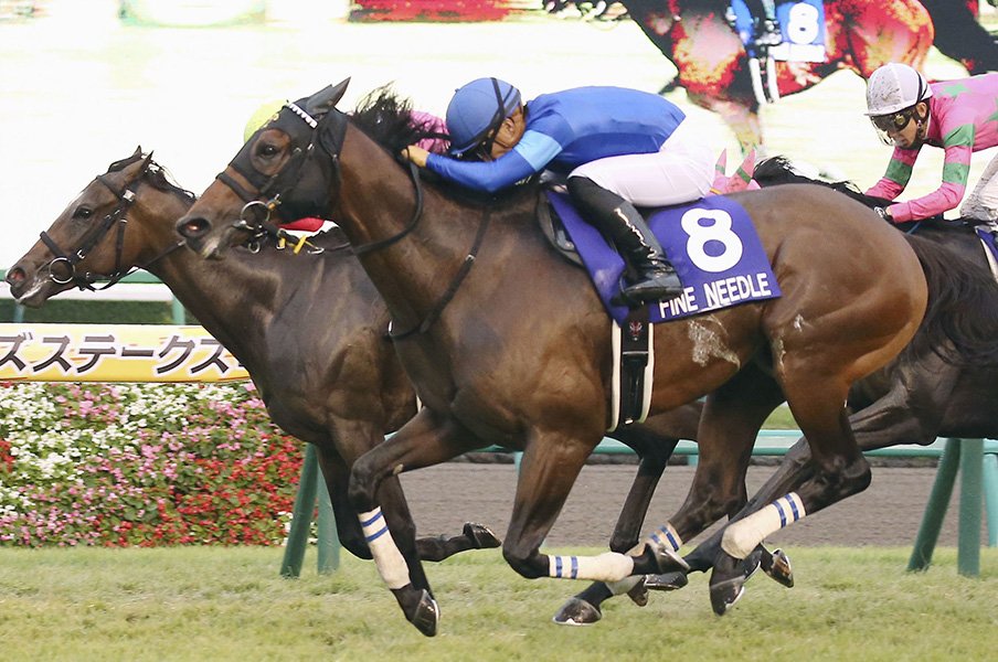 史上初の年間スプリント重賞4勝!ファインニードルの絶対王者ぶり。<Number Web> photograph by Kyodo News
