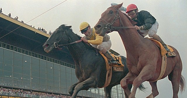 img_9ce8915c772f0fd17ea6debdd9