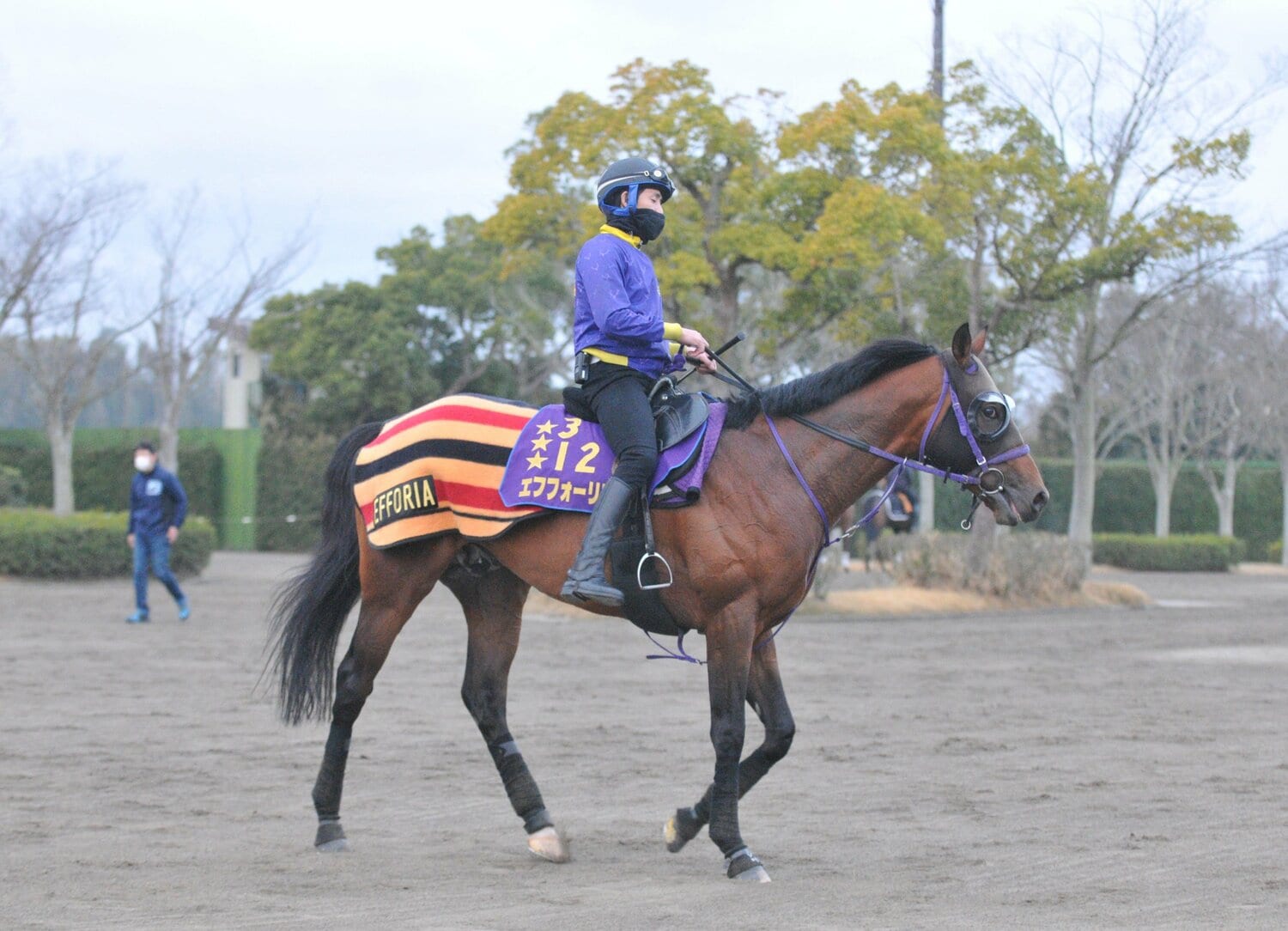 3月16日のエフフォーリアと水出助手　©Satoshi Hiramatsu