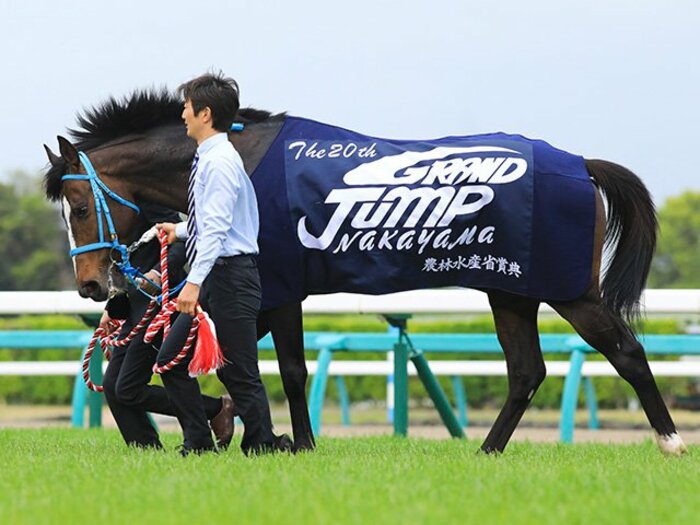 オジュウチョウサンと武豊の大挑戦。史上初、障害と平地の両GI制覇を。<Number Web> photograph by AFLO