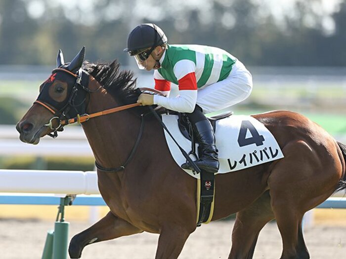 コントレイルvsデアリングの夢対決の陰で…無敗の“超良血牝馬”レイパパレはどこまで強い？＜Number Web＞ photograph by AFLO