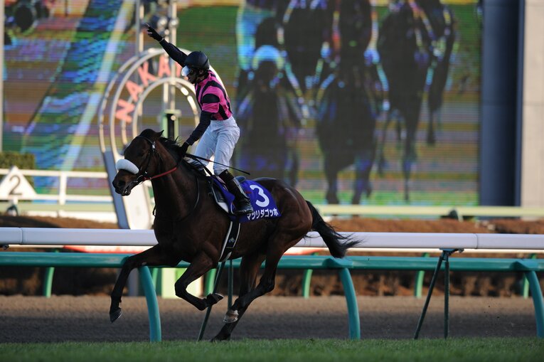 中山競馬場を大の得意としていたマツリダゴッホ　©BUNGEISHUNJU