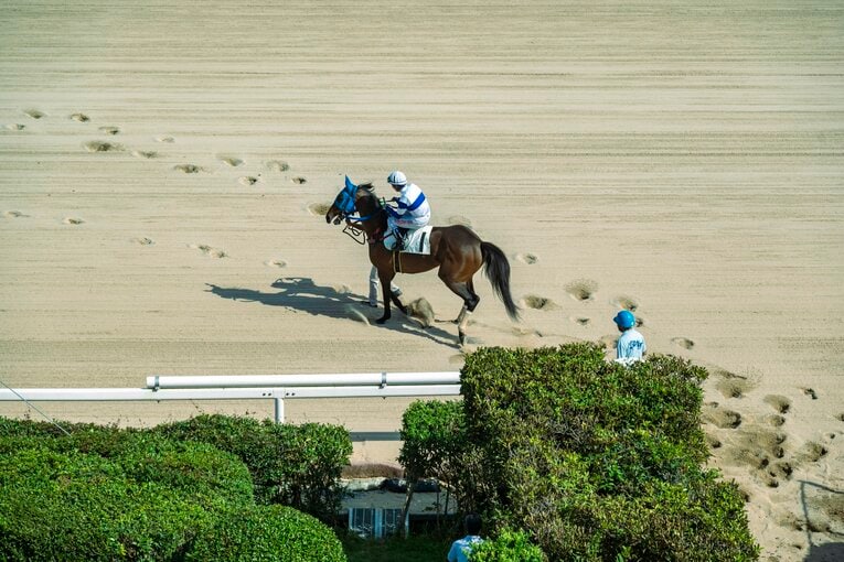 佐賀競馬場の様子　©Takuya Sugiyama