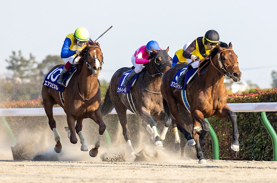 フェブラリーSでGI初制覇のカフェファラオはクロフネの逆パターン? 「早熟」とささやかれた良血馬が横綱相撲<Number Web> photograph by Photostud