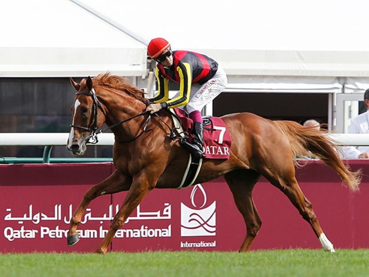 現地的中　オルフェーヴル　皐月賞、ダービー含むGI5枚セット　凱旋門賞馬券おまけ オルフェーヴル 皐月賞 的中単勝馬券 Yahoo!オークション - 「オ