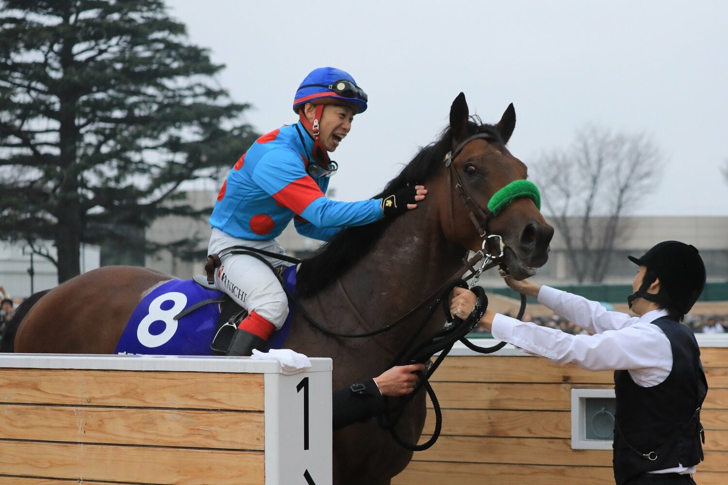 有馬記念のレース後、ブラストワンピースを称える鞍上の池添謙一　©AFLO