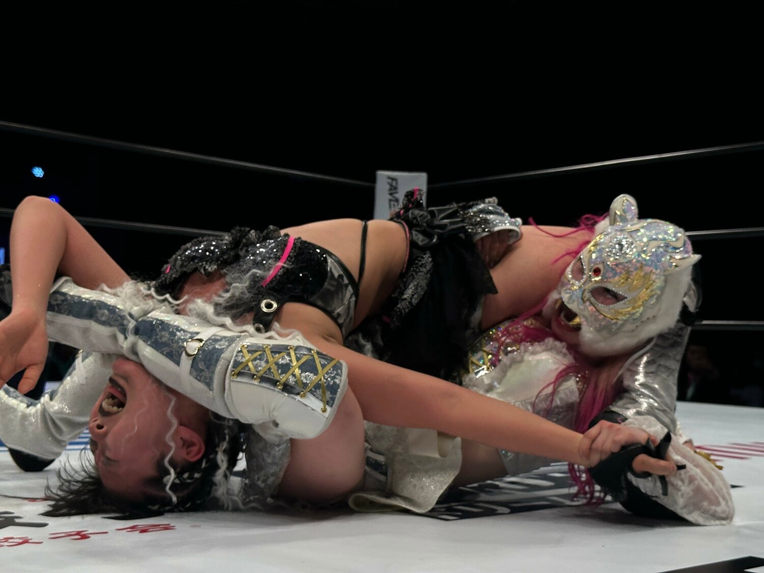 最後は「黒虎脚殺」でキッドが吏南からギブアップを奪った