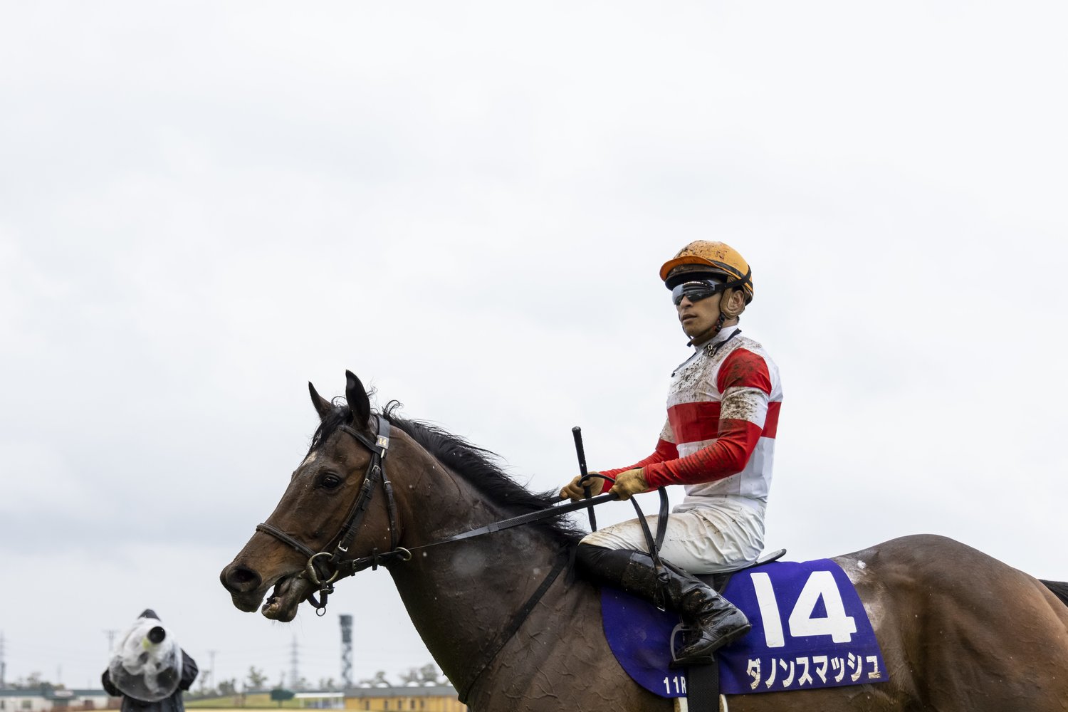 川田将雅とのコンビで今年の高松宮記念を制したダノンスマッシュ