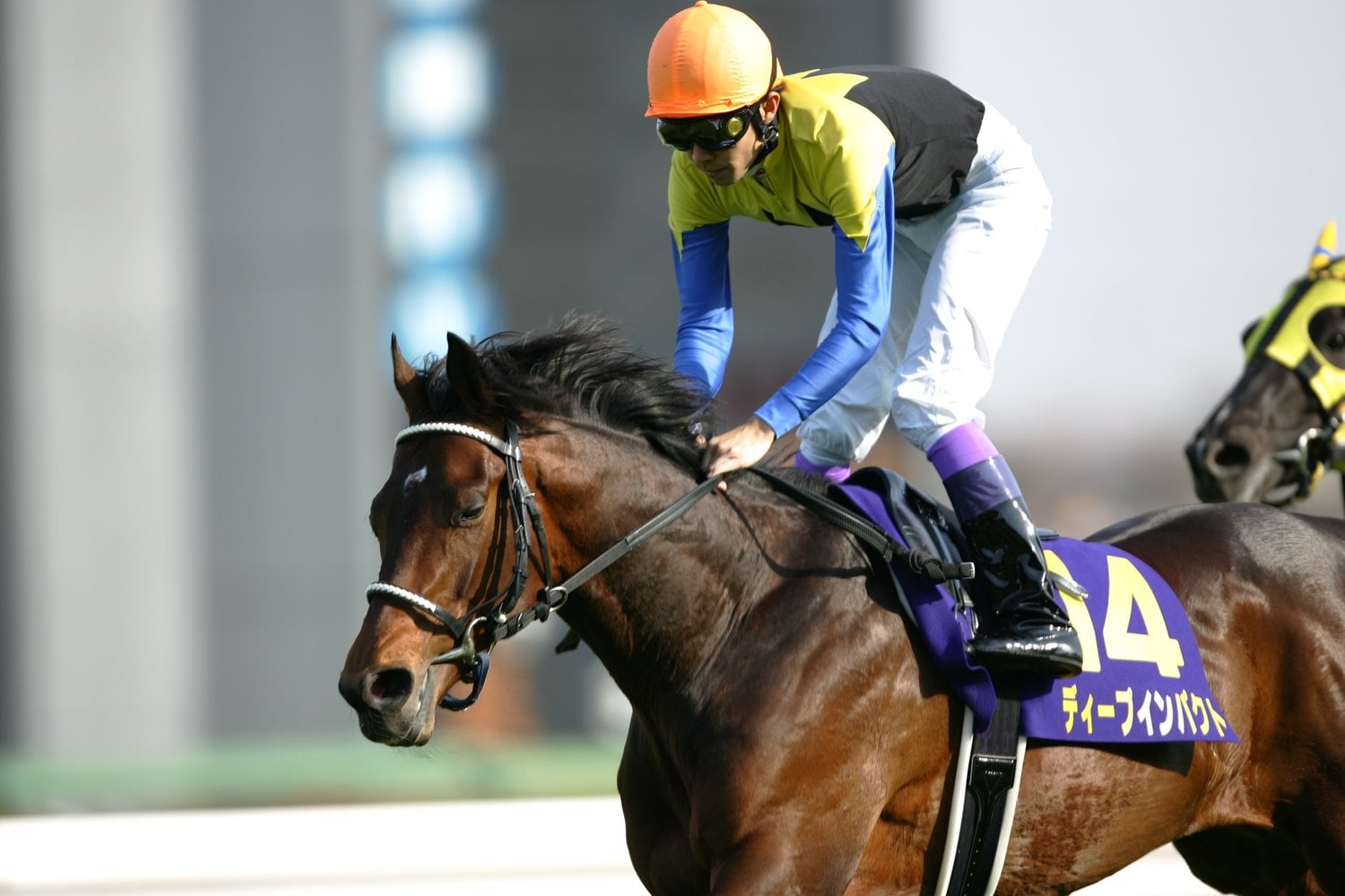 皐月賞を制した時のディープインパクトと武豊 (C)Koji Asakura