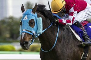 絶対王者・オジュウチョウサン11歳が復活…危険を伴う障害レースが、それでも“競走馬の救済の場”だと言える理由