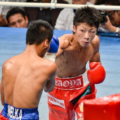 Amazon.co.jp: 超井上尚弥デビュー戦 パンフレット : おもちゃ