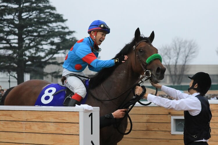 有馬記念の覇者が“乗馬”に…ブラストワンピースはなぜ種牡馬になれなかったのか？ 血統専門家「タイトルがもうひとつあれば…」 - 競馬 - Number  Web - ナンバー