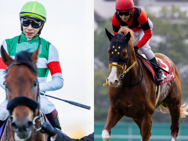 ⑭　競馬　JRA　◆　エフフォーリア　◆　ゴルフマーカー　◆　有馬記念　◆勝負服 2021第66回有馬記念GⅠ 本馬場入場 現地映像 エフフォーリア
