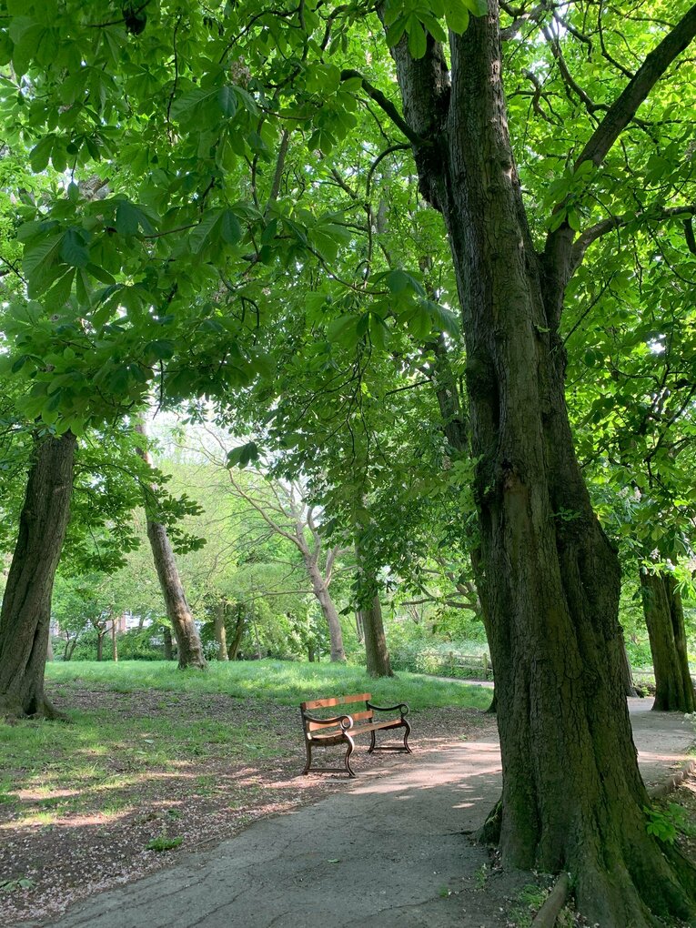 オシャレなブライトンの町並み　©Yoichi Igawa　