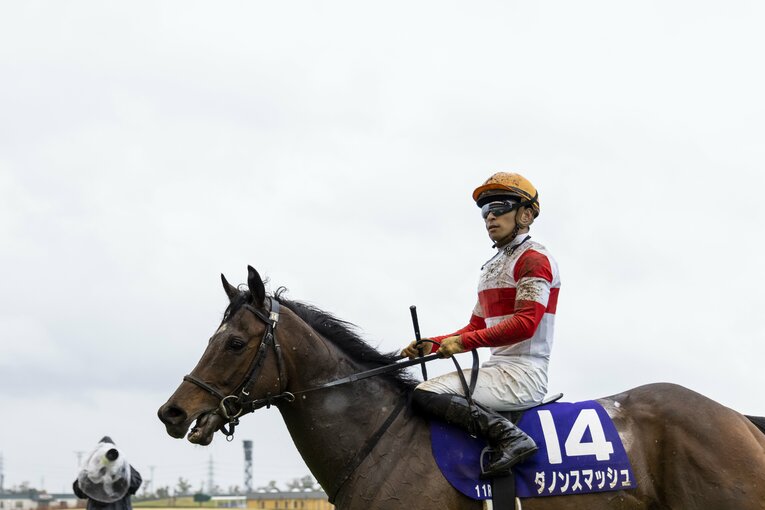 川田将雅とのコンビで今年の高松宮記念を制したダノンスマッシュ