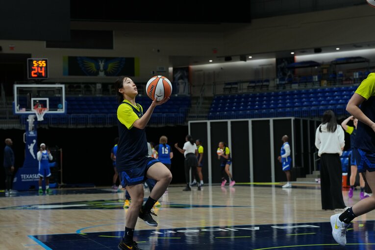 ©︎toyota_antelopes