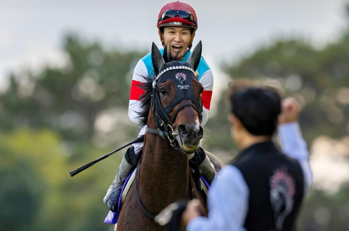 ボルト氏の馬術 K]ボルト氏の馬術 ハリー・ボルト、 荒木雄豪、 高津彦太郎