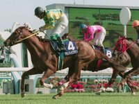 img_9e25133b4396ae646496dd93bd